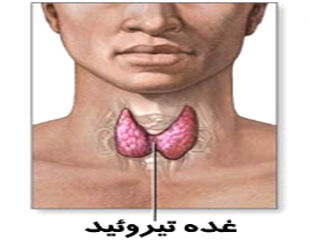 داروی لووتیروکسین برای کم‌کاری تیروئید مفید است